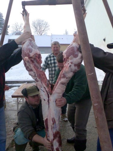 Vepřové hody - 29.12.2006